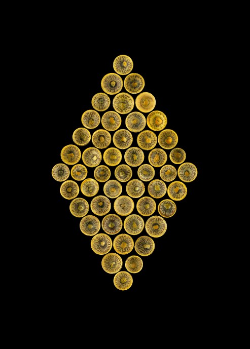 Acorn-Gold-NEW-DIAMOND