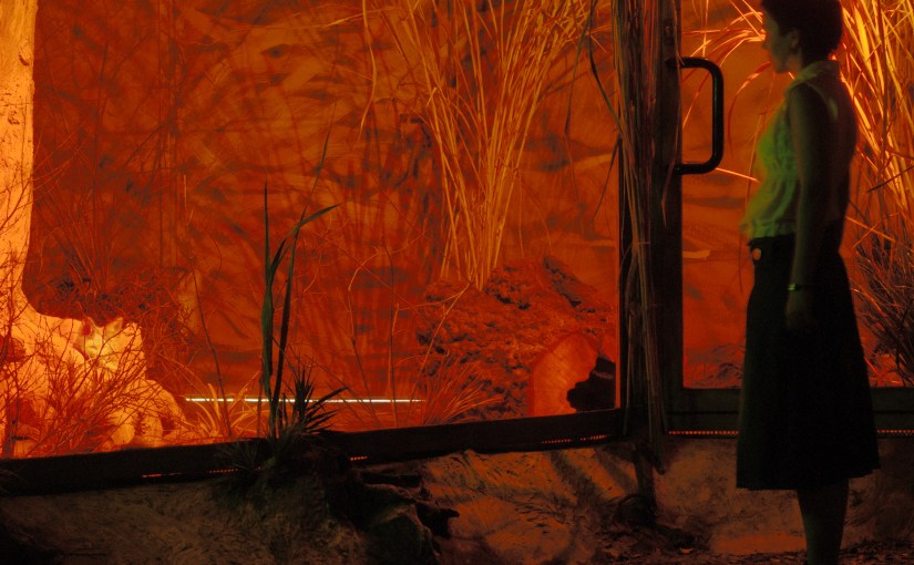 “glass” – jesslyn delia&nbsp;smith