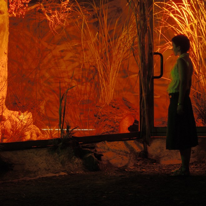 Sylwia Kowalczyk_Chicas_Fox