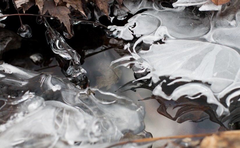 “Beige” – Jo-Ann&nbsp;Zhou