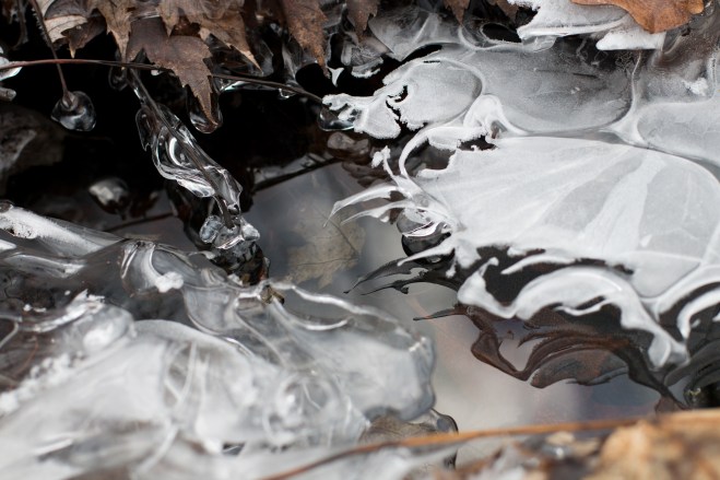 Icy-Void---Selina-Vesely-(2017)